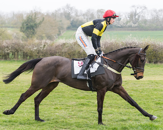 Race 3 - Open Maiden (32 of 128)