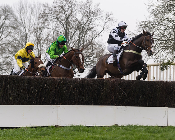 Race 3 - Open Maiden (39 of 128)