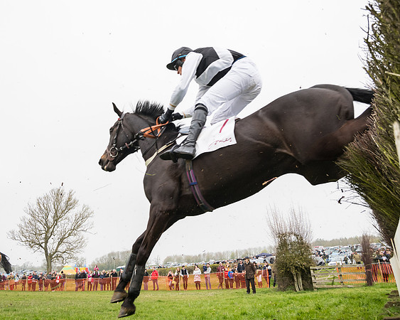 Race 3 - Open Maiden (54 of 128)