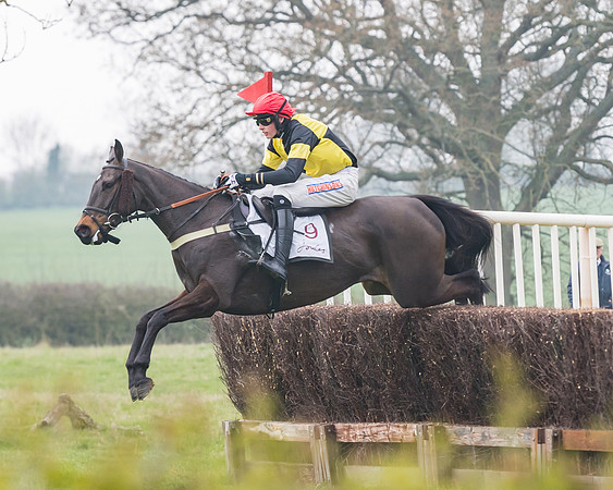 Race 3 - Open Maiden (56 of 128)