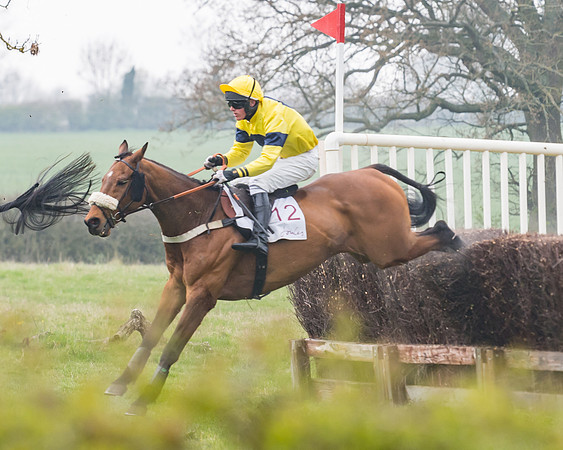 Race 3 - Open Maiden (61 of 128)
