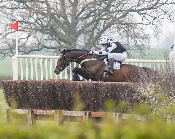 Race 3 - Open Maiden (62 of 128)