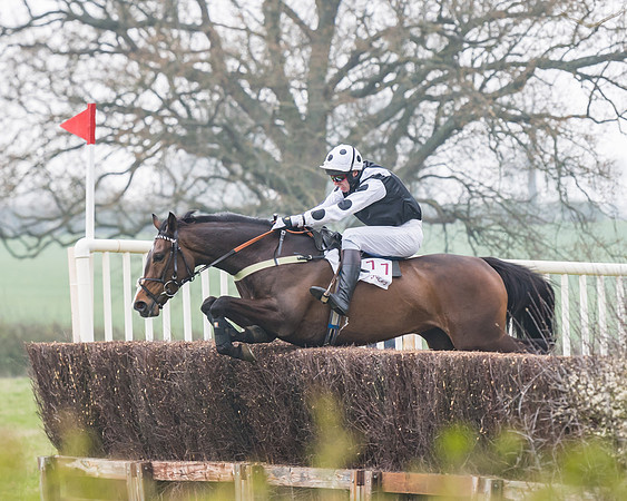 Race 3 - Open Maiden (63 of 128)