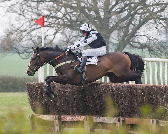 Race 3 - Open Maiden (64 of 128)