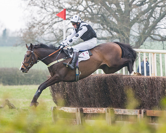 Race 3 - Open Maiden (65 of 128)