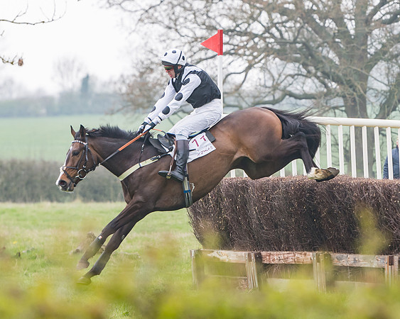 Race 3 - Open Maiden (66 of 128)