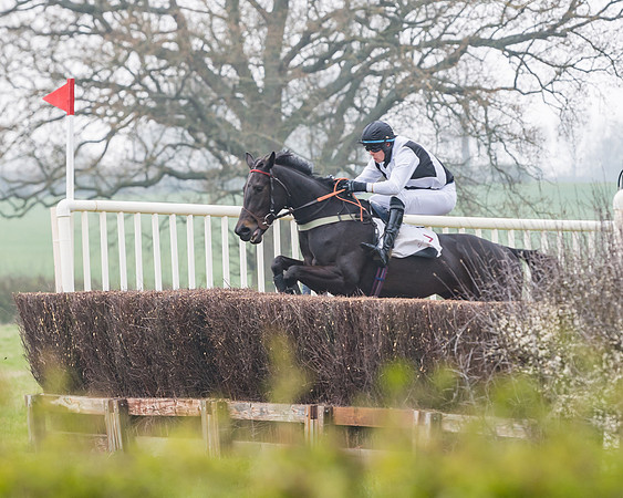 Race 3 - Open Maiden (67 of 128)