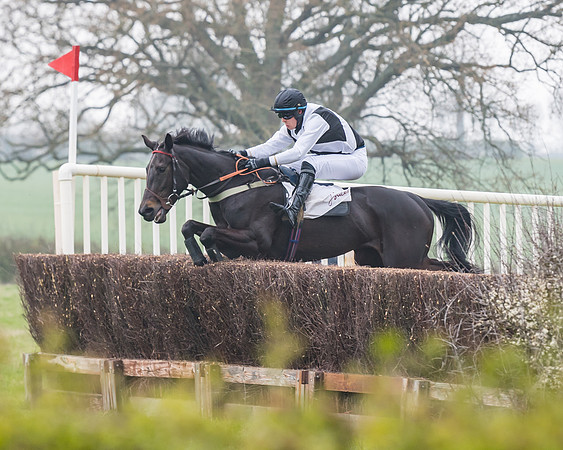 Race 3 - Open Maiden (68 of 128)