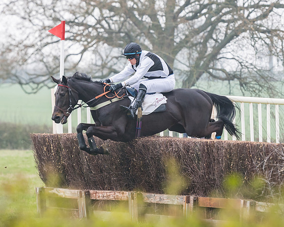 Race 3 - Open Maiden (69 of 128)