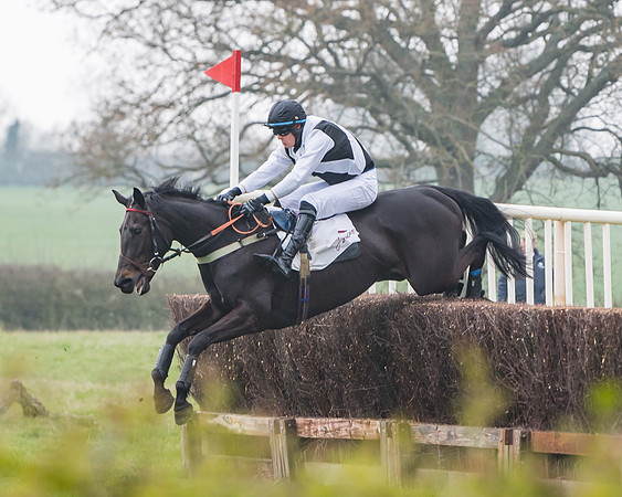 Race 3 - Open Maiden (70 of 128)