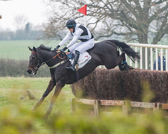 Race 3 - Open Maiden (71 of 128)