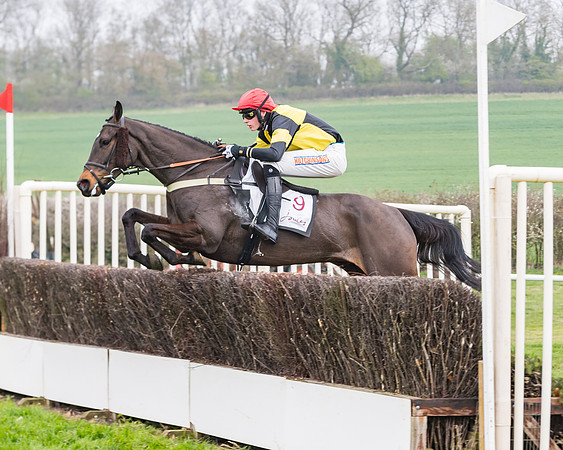Race 3 - Open Maiden (73 of 128)