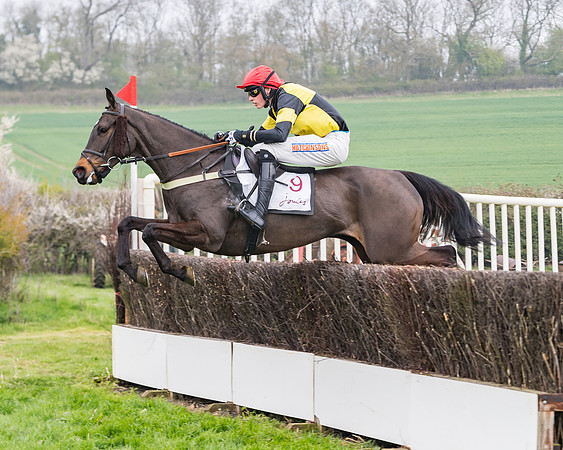 Race 3 - Open Maiden (74 of 128)