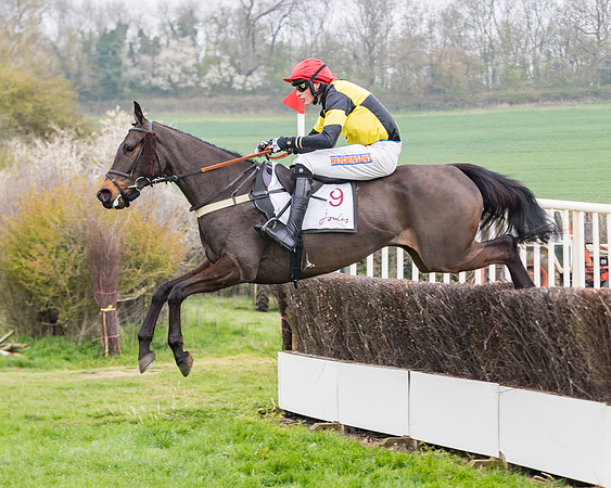 Race 3 - Open Maiden (75 of 128)