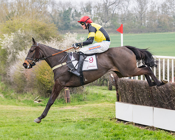 Race 3 - Open Maiden (76 of 128)