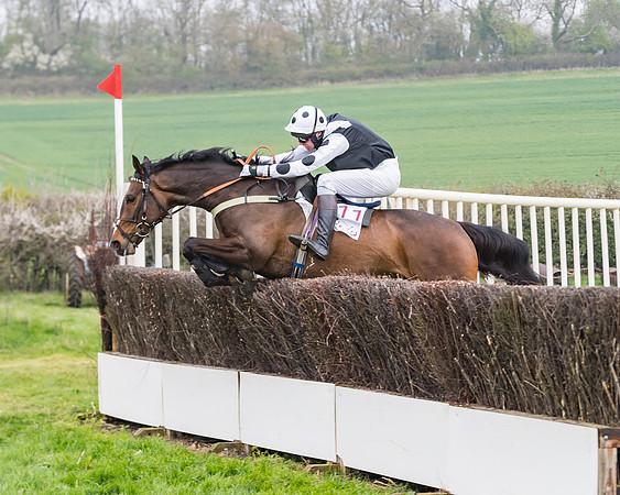 Race 3 - Open Maiden (79 of 128)