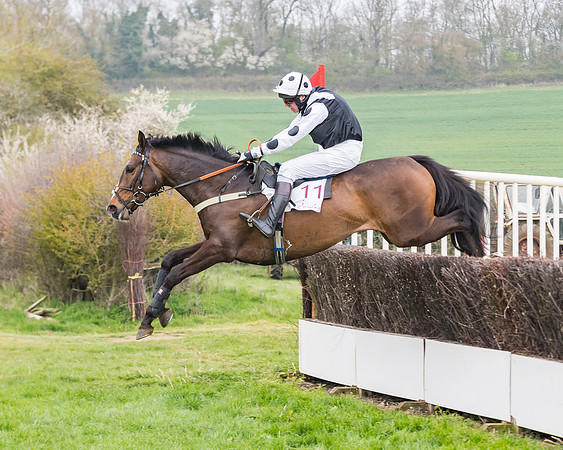 Race 3 - Open Maiden (81 of 128)