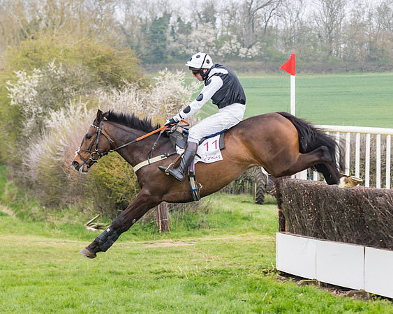 Race 3 - Open Maiden (82 of 128)