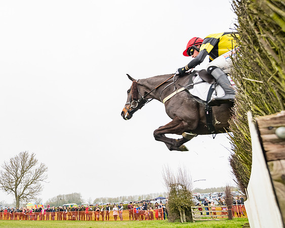 Race 3 - Open Maiden (83 of 128)