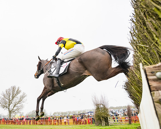 Race 3 - Open Maiden (84 of 128)