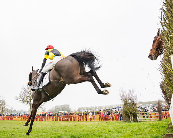 Race 3 - Open Maiden (85 of 128)