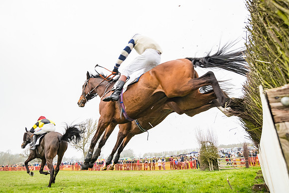 Race 3 - Open Maiden (87 of 128)