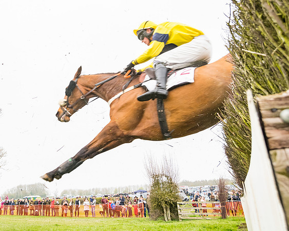Race 3 - Open Maiden (88 of 128)