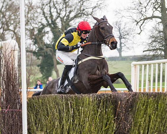 Race 3 - Open Maiden (91 of 128)