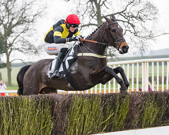 Race 3 - Open Maiden (93 of 128)