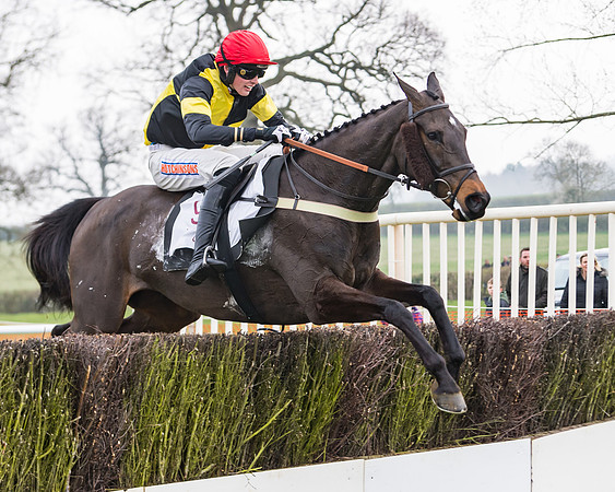 Race 3 - Open Maiden (94 of 128)
