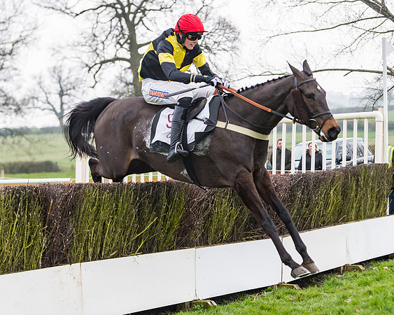 Race 3 - Open Maiden (95 of 128)