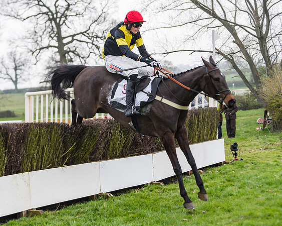 Race 3 - Open Maiden (96 of 128)