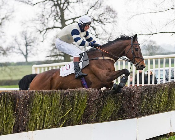 Race 3 - Open Maiden (97 of 128)