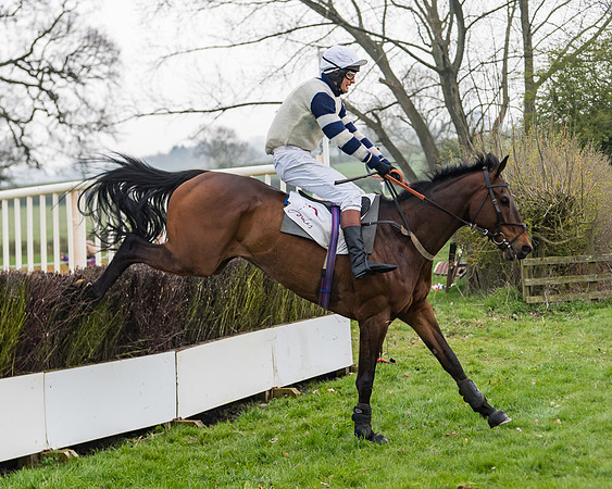 Race 3 - Open Maiden (101 of 128)