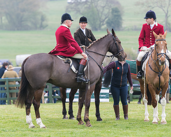 Race 4 - The Restricted  (4 of 137)