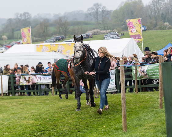 Race 4 - The Restricted  (6 of 137)