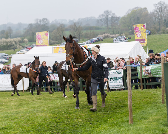 Race 4 - The Restricted  (8 of 137)