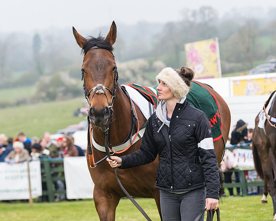 Race 4 - The Restricted  (10 of 137)