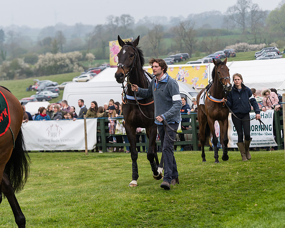 Race 4 - The Restricted  (11 of 137)