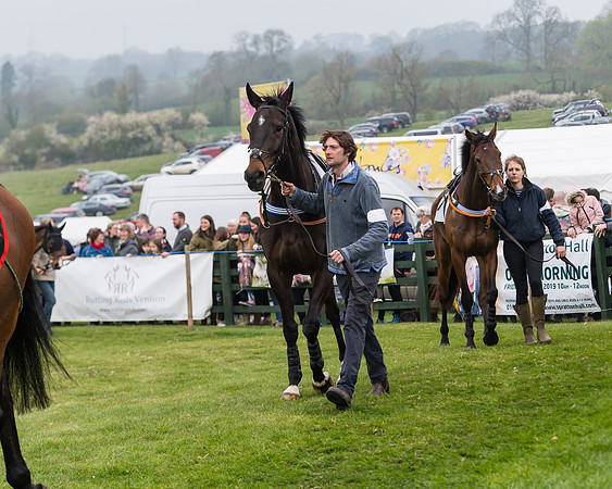 Race 4 - The Restricted  (12 of 137)