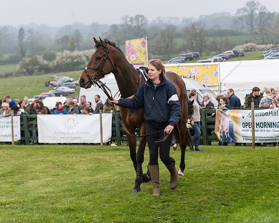 Race 4 - The Restricted  (15 of 137)