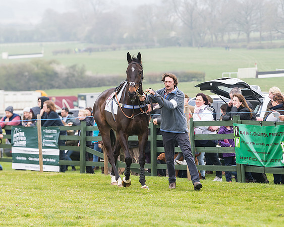 Race 4 - The Restricted  (28 of 137)
