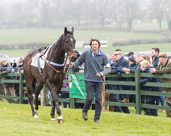 Race 4 - The Restricted  (29 of 137)