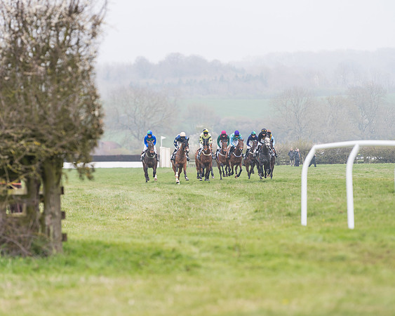 Race 4 - The Restricted  (31 of 137)