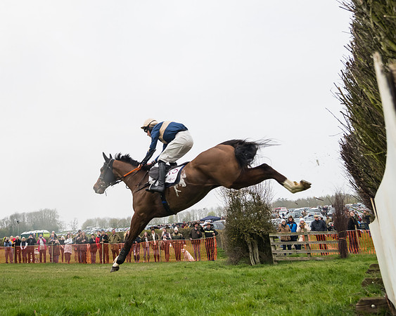 Race 4 - The Restricted  (39 of 137)