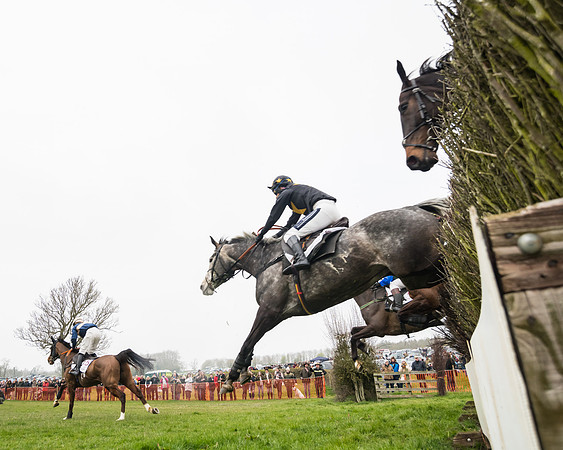 Race 4 - The Restricted  (42 of 137)