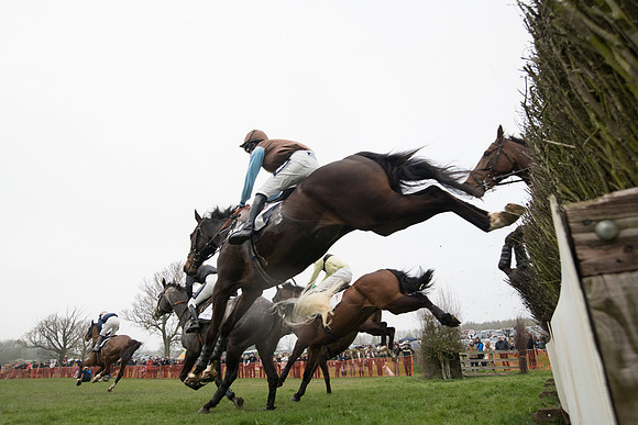 Race 4 - The Restricted  (45 of 137)