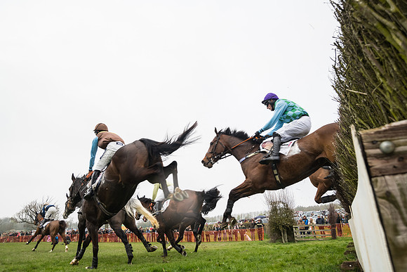Race 4 - The Restricted  (46 of 137)