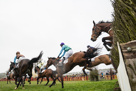 Race 4 - The Restricted  (47 of 137)