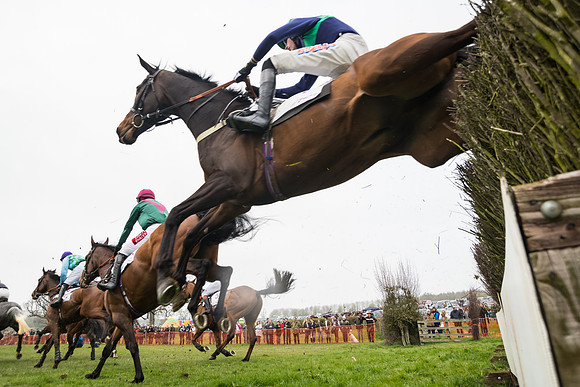 Race 4 - The Restricted  (50 of 137)